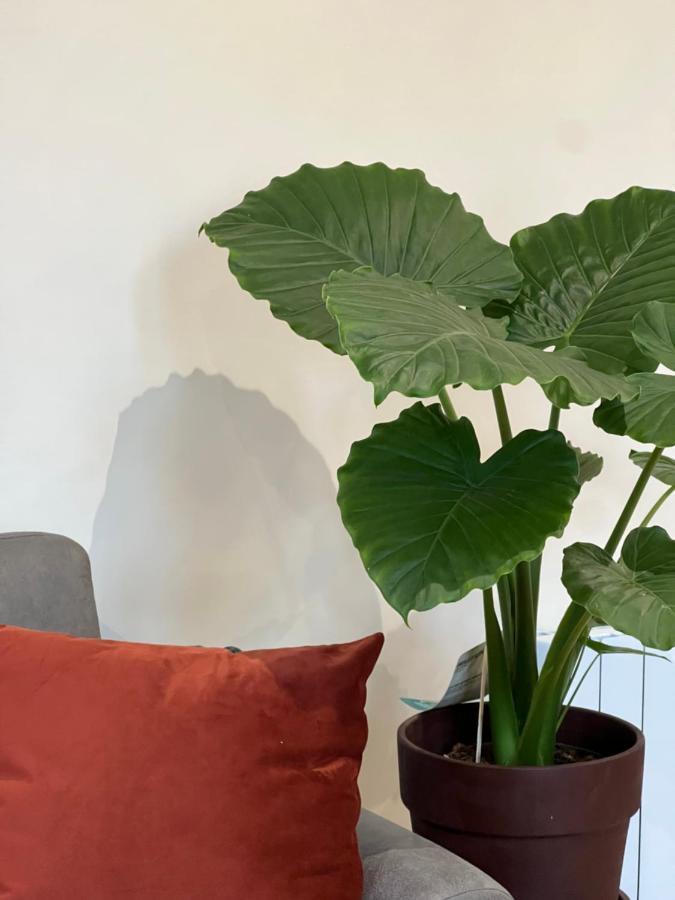 Myaka Appartement Wood Cholet Eksteriør bilde